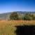 pieniny06kl.jpg