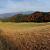 pieniny2013_2_17kl.jpg