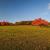 pieniny2013_2_22kl.jpg