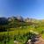 tatry01.jpg