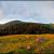 tatry07_ok.jpg