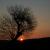 97_wschzach_03.jpg