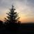 99_wschzach_08.jpg