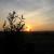 99_wschzach_10.jpg